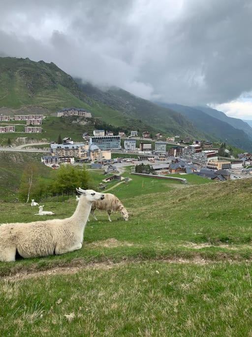 Appt Chaleureux 2 - 4 Personnes Au Pied Des Pistes - Draps Et Linges De Toilette Non Fournis - Menage Non Inclus Daire La Mongie Dış mekan fotoğraf