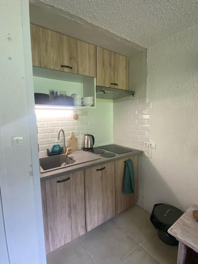 Appt Chaleureux 2 - 4 Personnes Au Pied Des Pistes - Draps Et Linges De Toilette Non Fournis - Menage Non Inclus Daire La Mongie Dış mekan fotoğraf